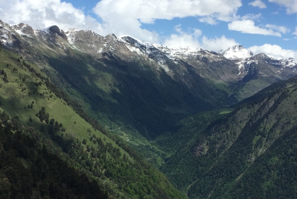 Brown bear territory in th Pyrenees