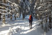 backcountry skiing