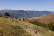 walking with huskies in the Pyrenees