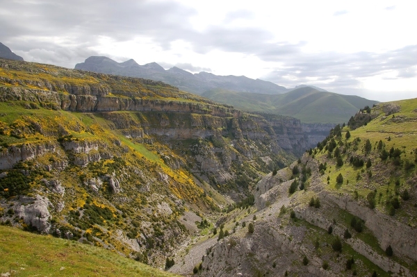 limestone gorges ordesa