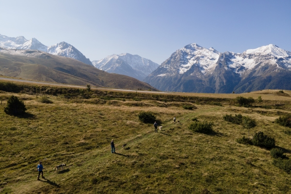 Walking with huskies in the Pyrenees