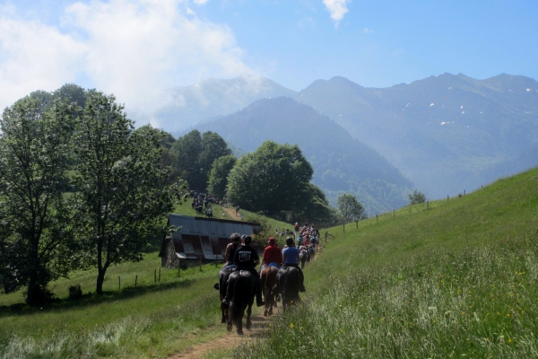 Pyrenees horse trekking transhumance experience