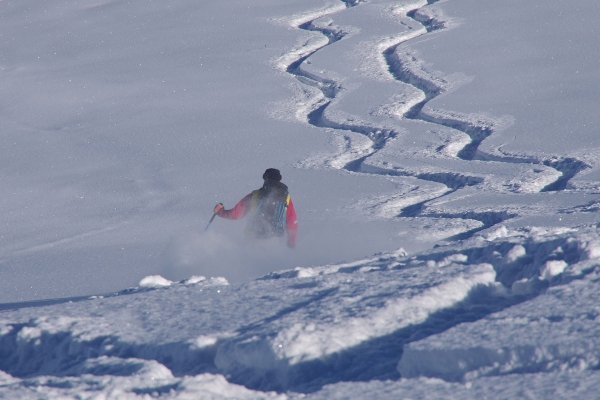 Fun skiing on powder on a back-country ski tour