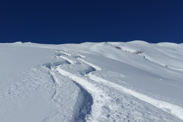 Ski tracks in the back-country