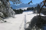 following snowshoeing tracks