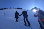 snowshoeing uphill in the Pyrenees